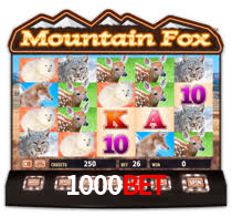 1000Bet